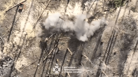 Пограничники показали, как сбросами уничтожают оккупантов в Харьковской области - 290x166