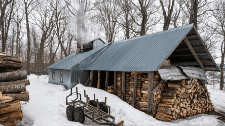 Утилізувати чи зберігати далі — що робити з залишками дров після зими - 285x160