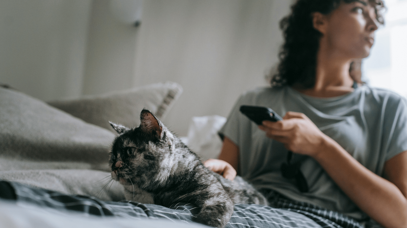 Знаки Зодіаку, які не люблять котів