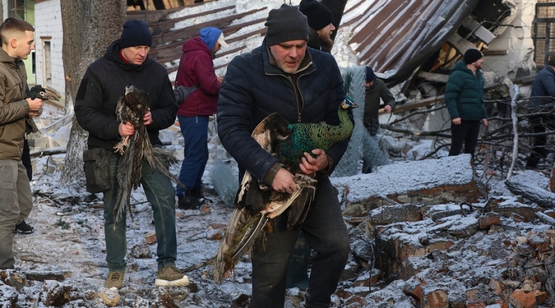 Російський обстріл Фельдман Екопарку 1 січня