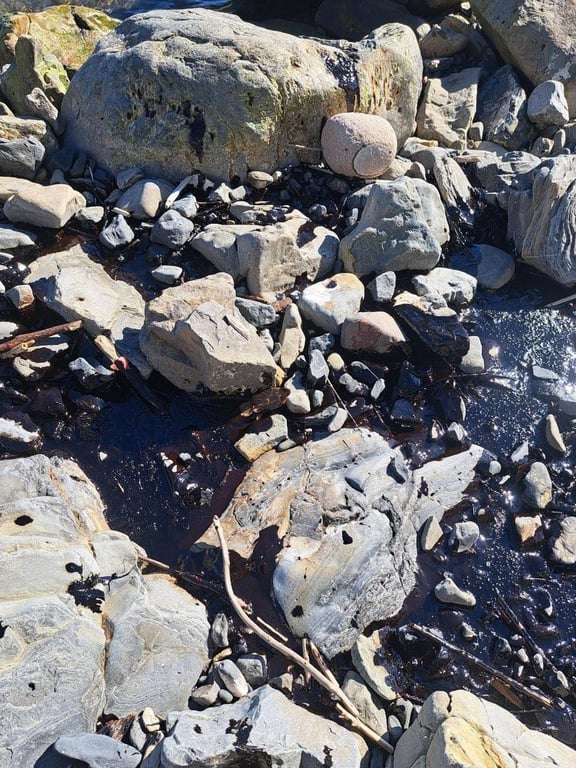 Розлив нафти та мазуту в Росії Туапсе