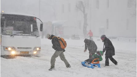 Зима в разгаре — на выходных Украину ждут морозы и метели - 290x166