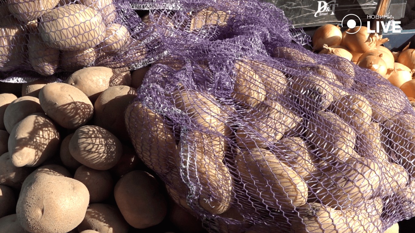 Картопля в сітці на прилавку 