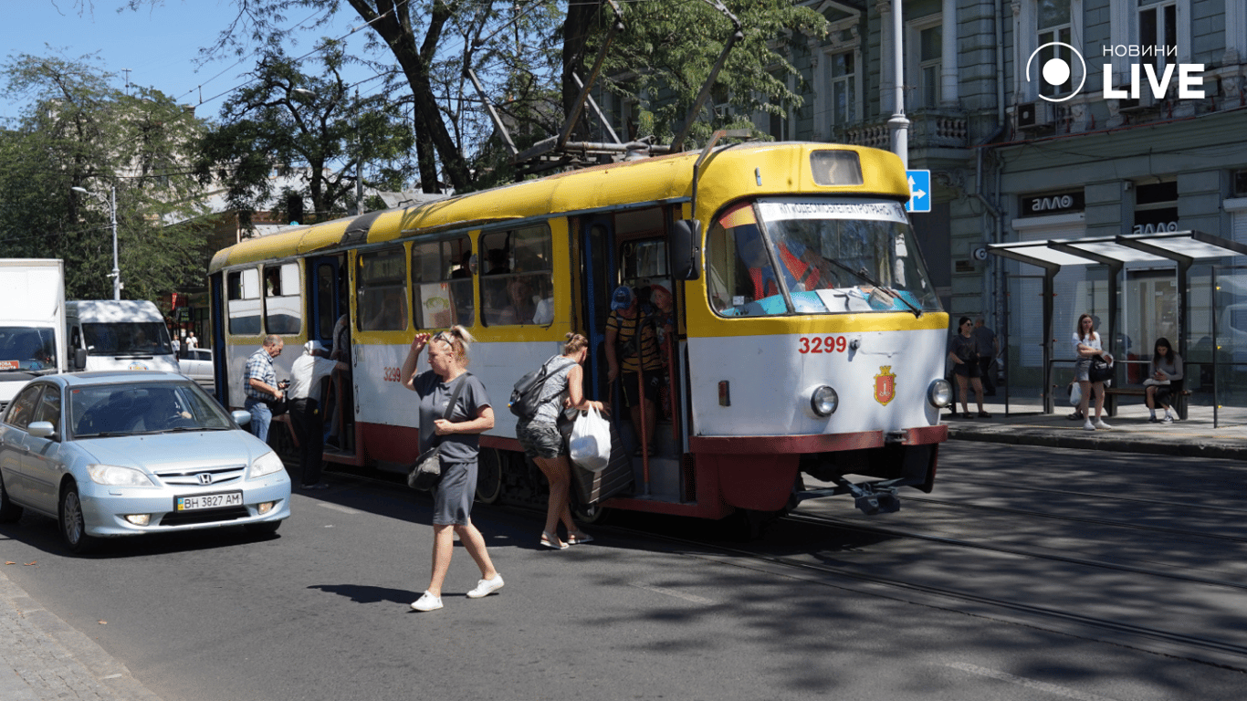 В Одесі впало дерево: де заблоковано рух транспорту