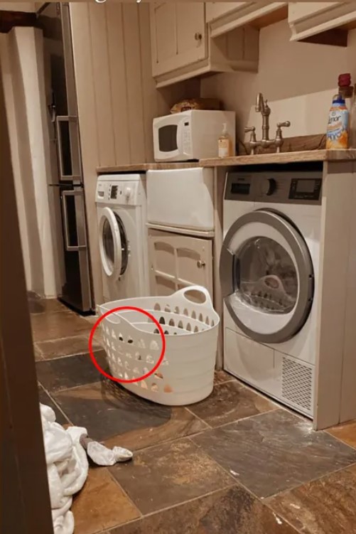 Тест, который проходят всего 25% - найдите кота на фото за 12 секунд - фото 2