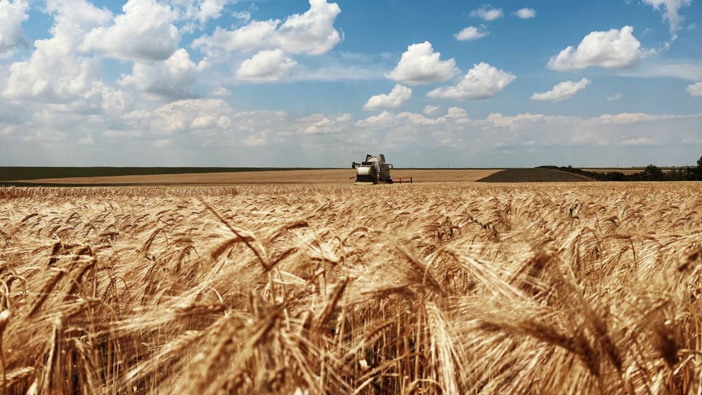 Врожайні жнива: одеські аграрії намололи 800 тисяч тонн зерна