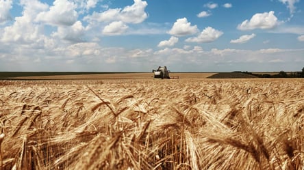 Врожайні жнива: одеські аграрії намололи 800 тисяч тонн зерна - 285x160