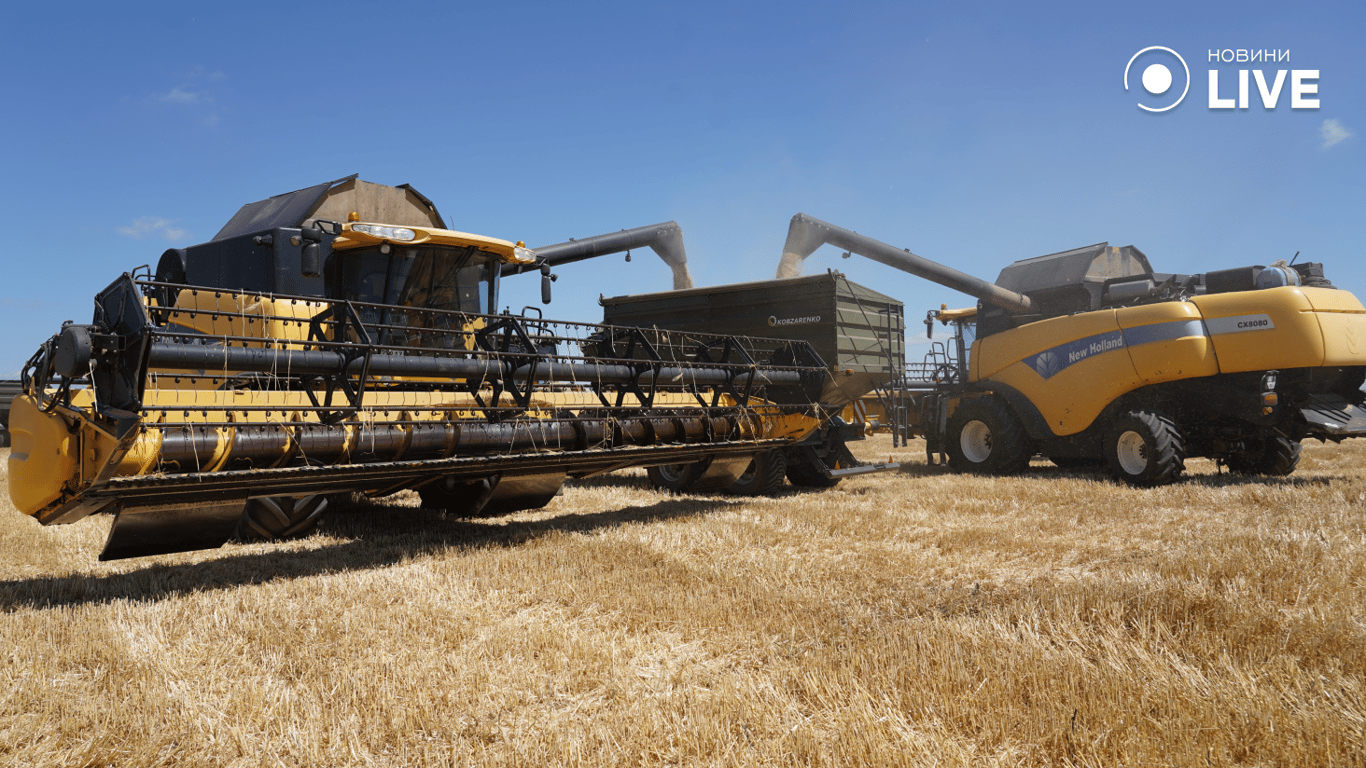 Комбайни висипають зерно