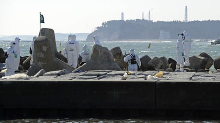 Scientists report unusual find under Fukushima reactors - 304x171