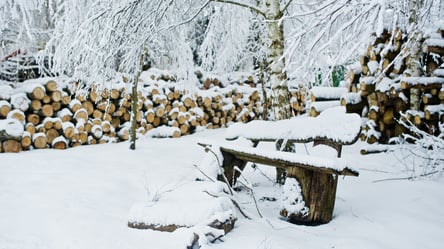 Зимові роботи в саду — що треба зробити, щоб уникнути втрат - 285x160