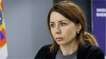 Министр энергетики Гринчук подала в отставку - 285x160