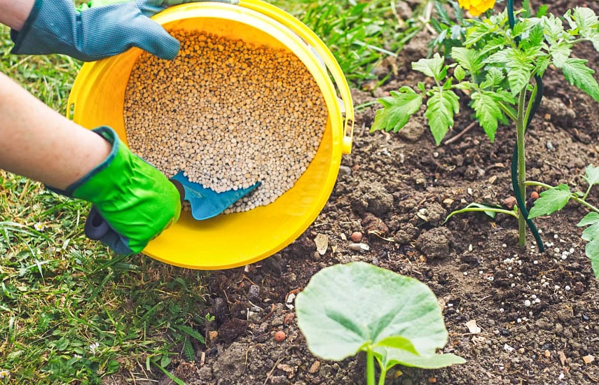 Человек, подпитывающий растения