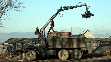 Таких цін ще не було — деякі дрова можуть подорожчати на 25% - 285x160