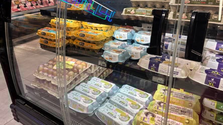 Такие цены на яйца вызывают эмоции — что происходит в супермаркетах - 285x160