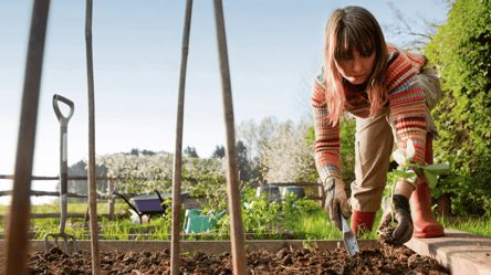 Лунный посевной календарь на май 2026: когда самые урожайные дни - 285x160