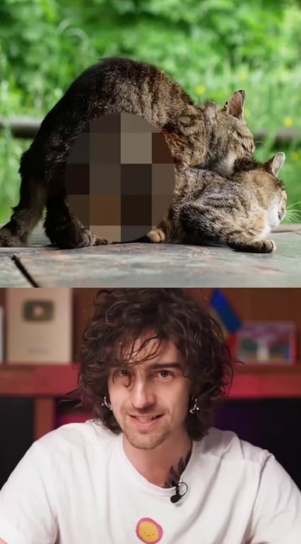 Дантес озвучує котячий фільм для дорослих