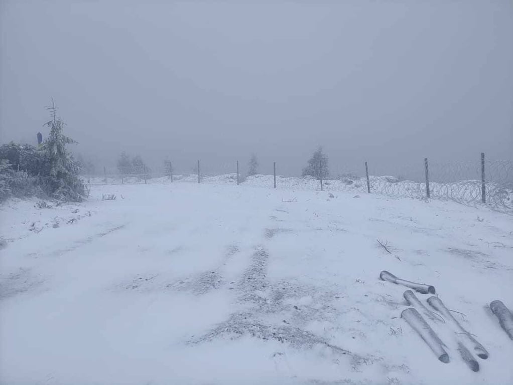 засніжені гори