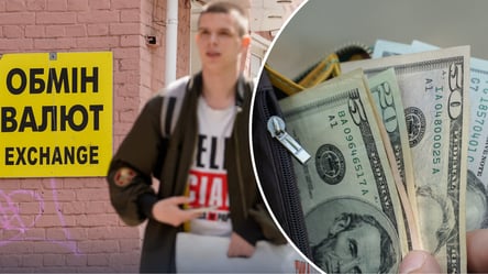 Долар може перевалити за 50 грн: експерт назвав дві умови - 285x160