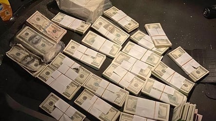 В Киев привезли сотни тысяч фальшивых долларов. Фото - 285x160