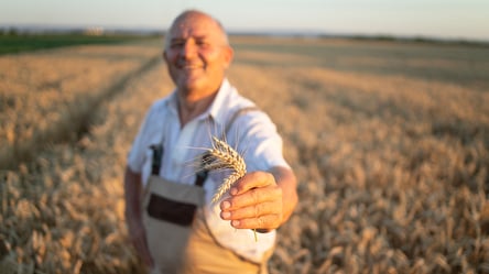 Оренда землі без ризиків — навіщо потрібна додаткова угода - 285x160