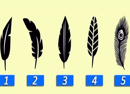 Тест на визначення типу особистості