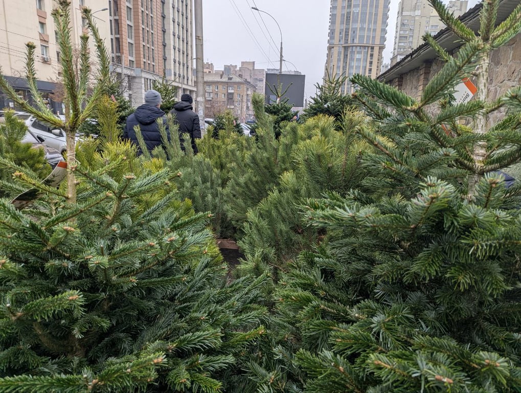 Цены на елки