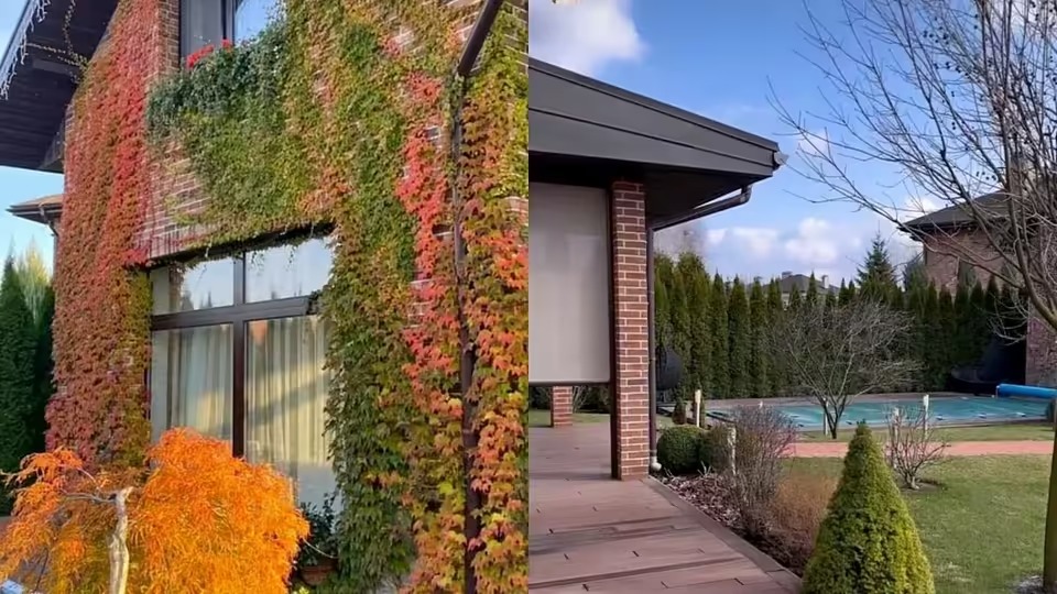 будинок Каті Осадчої