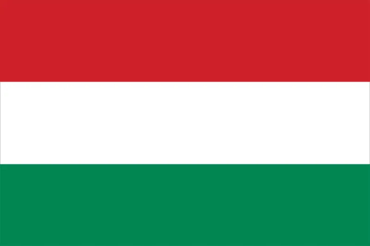 Черги на кордоні з Угорщиною 5 листопада