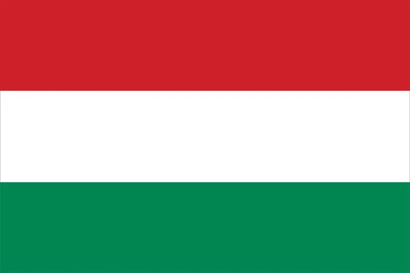 Черги на кордоні з Угорщиною 1 лютого