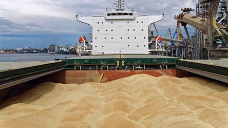 Зернова ініціатива: рівень експорту агропродуктів продовжує падати - 285x160