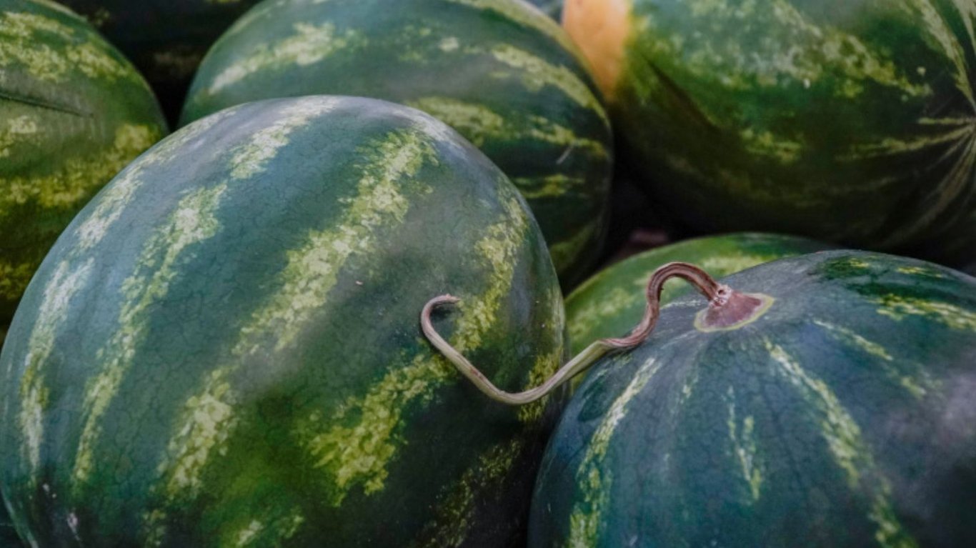 кавун купить з доставкою київ 