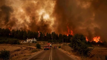 В Греции не могут потушить лесные пожары: где ситуация наиболее сложная - 285x160