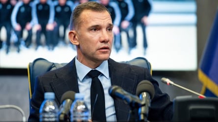 Шевченко розслідує роботу суддів після матчу Полісся — Динамо - 285x160