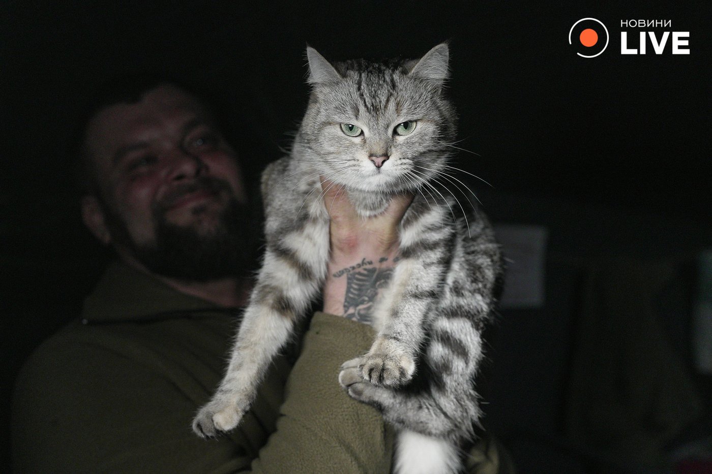 військові опікуються тваринами на фронті