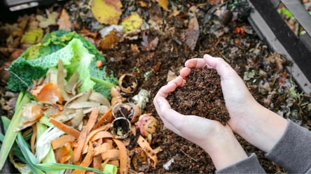 Как заставить компост созревать зимой — простой раствор из кухни - 285x160