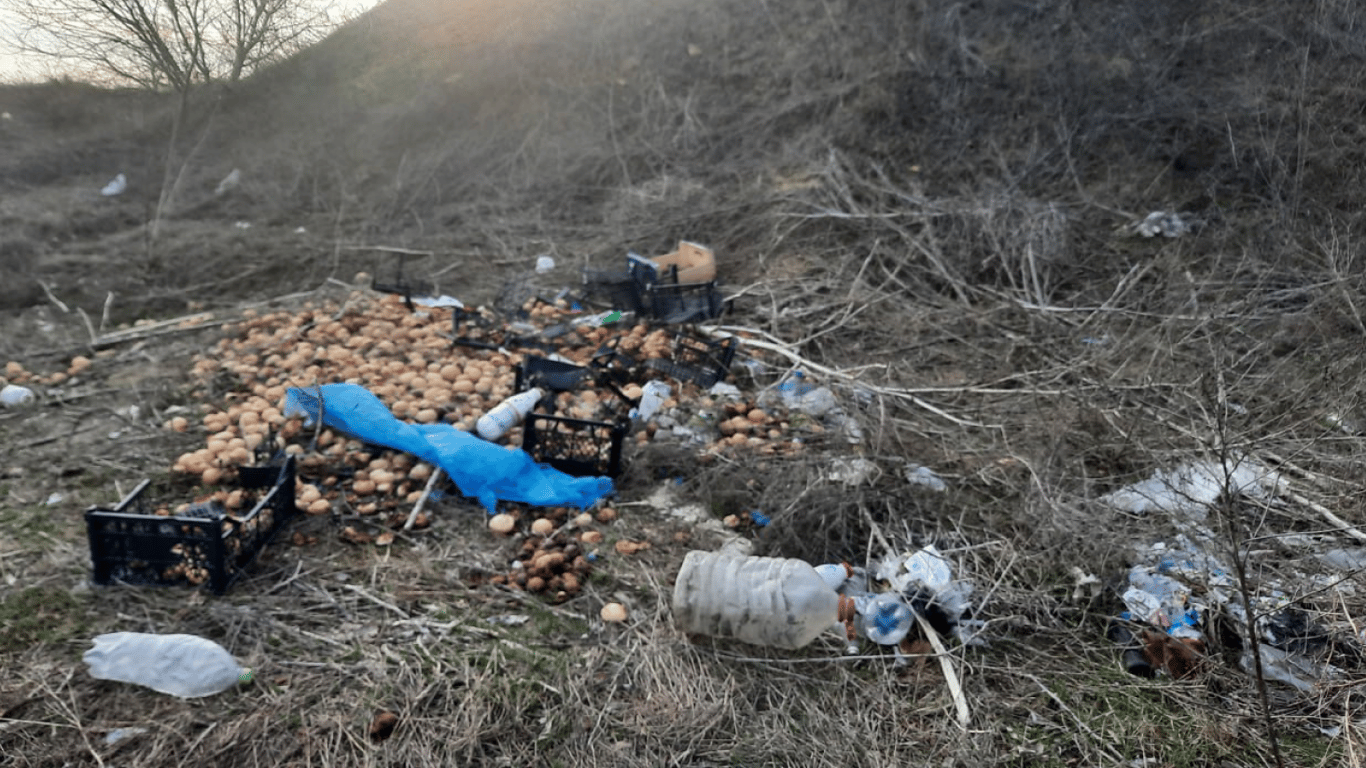 Трасса Одесса-Киев утопает в мусоре - экологи обратились в службу инфраструктуры - фото 2