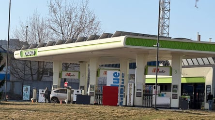 Во Львове дорожают два популярных вида толпива — что говорят люди - 290x166