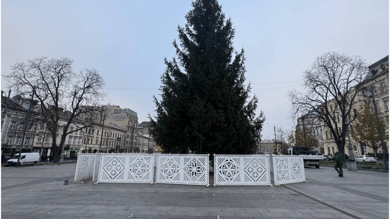 Во Львове установили главную елку на площади перед Оперным театром