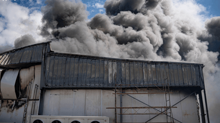 Масштабна пожежа поблизу Одеси: горіли склади підприємства - 290x166