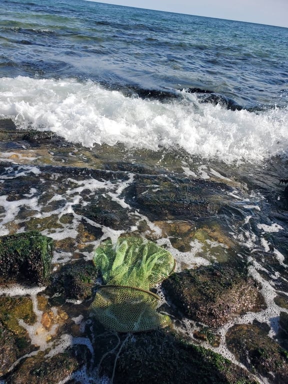 Браконьєрські сітки в Чорному морі