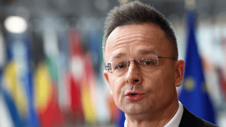 В Угорщині висловилися про результати поїздки делегації в Україну - 290x160