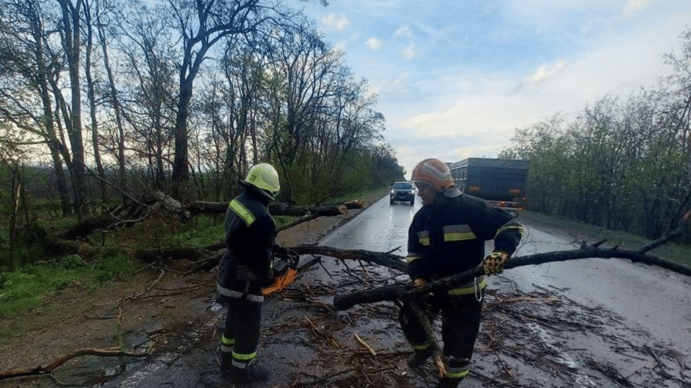 Поваленные деревья и билборды — из-за непогоды в Украине обесточены более 100 населенных пунктов