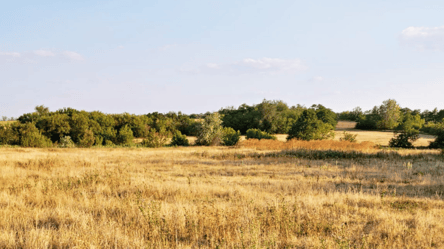 Одесский суд вернул земли в Крыму, принадлежавшие россиянке - 285x160