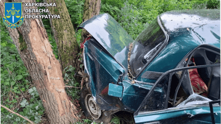На Харківщині судили водія, який п'яним призвів до смертельної ДТП — яке покарання отримав - 285x160