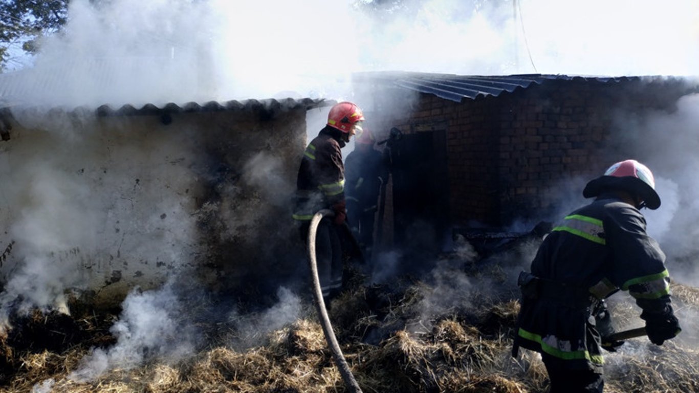 В пожаре в Одесском районе погибли десятки животных —  что произошло