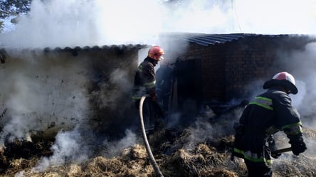 В пожаре в Одесском районе погибли десятки животных —  что произошло - 285x160
