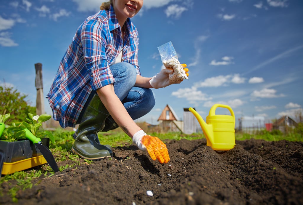 Почему май — лучший месяц для посадки культур в открытый грунт