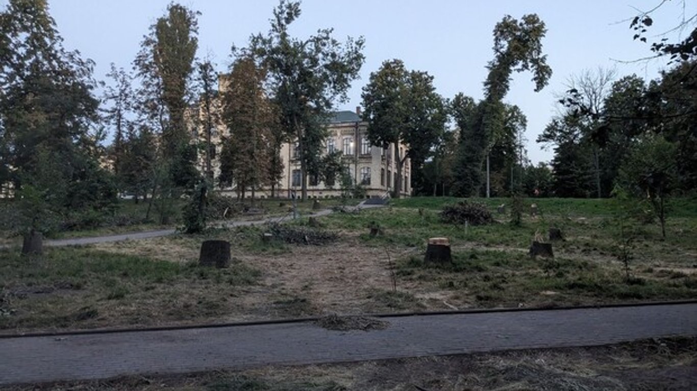 Зрізання дерев у парку КПІ: Київзеленбуд виправдався за свої дії
