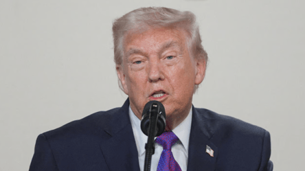 Рада миру наглядатиме за ООН, — Трамп - 285x160