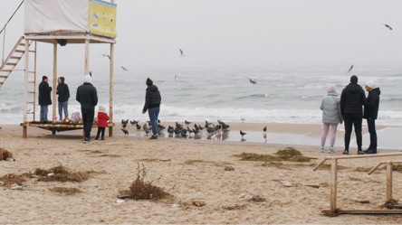 Ветрено и холодно — погода в Одессе сегодня - 290x166